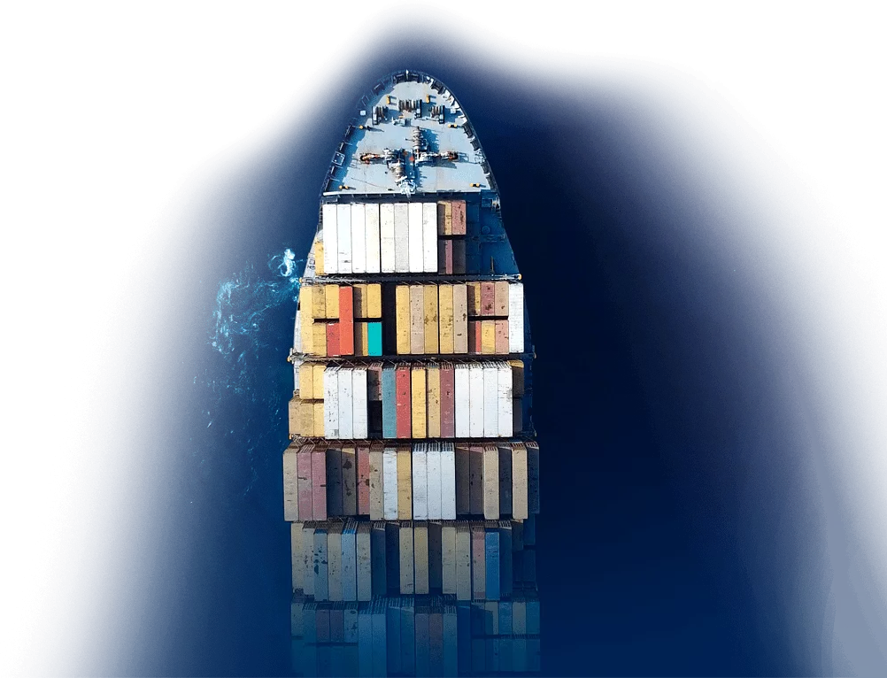 Supply Chain & Distribution